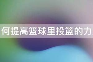 篮球投篮需要进行哪些力量训练